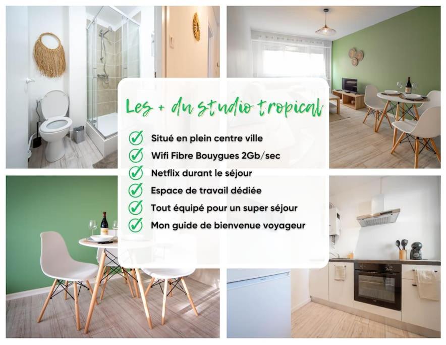 Le Studio Tropical Chalon-sur-Saone Luaran gambar